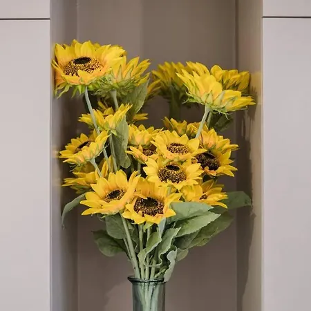 Daire Le Centre De Au Calme Ail *